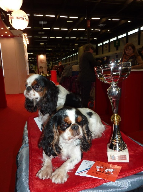 Des Rochers D'agerna - Exposition Internationale de Bordeaux 