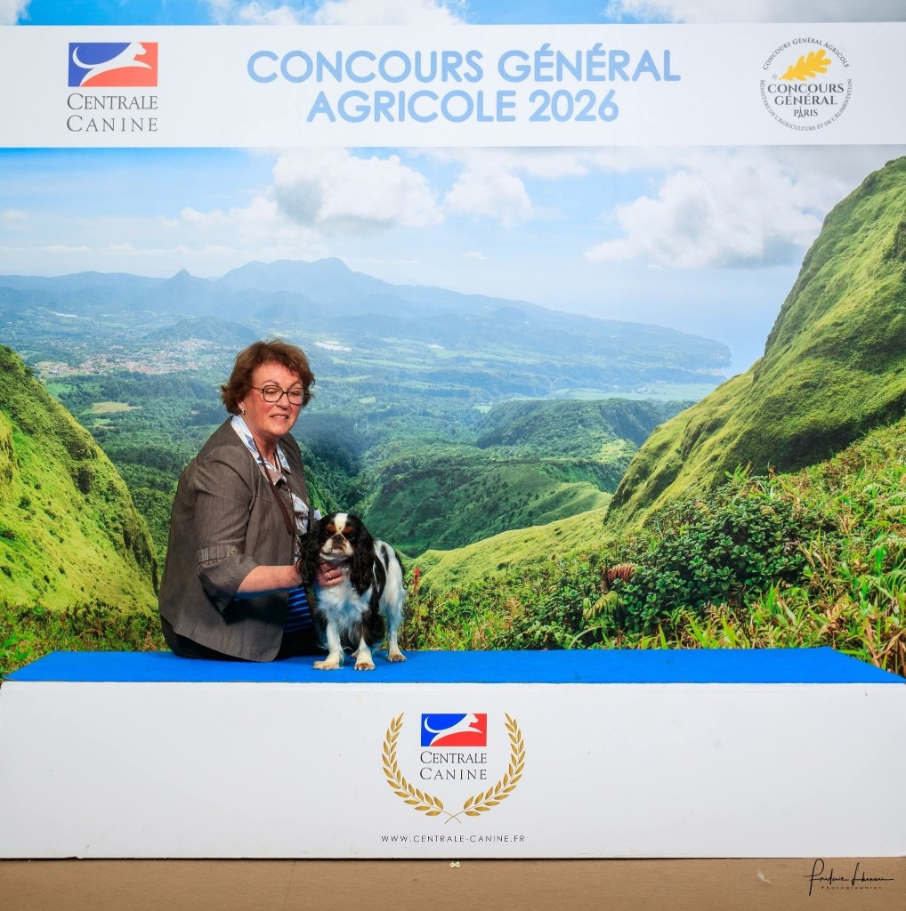 Concours Général Agricole pour Unika Zélie