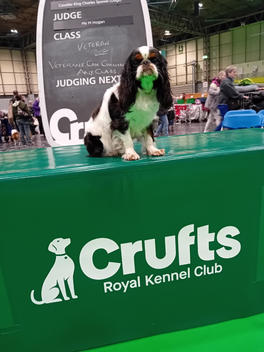 Unika Zélie a CRUFT